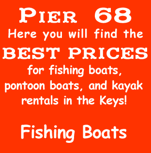 Pier 68 rentals