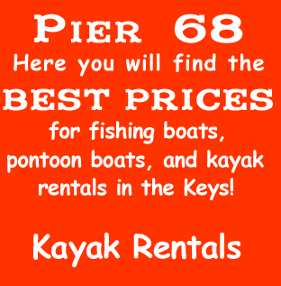 Pier 68 rentals