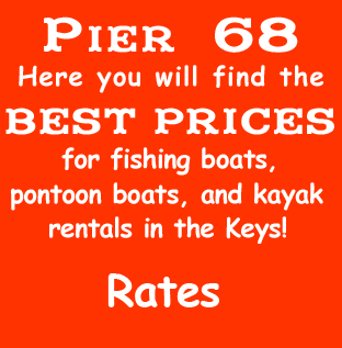 Pier 68 rentals